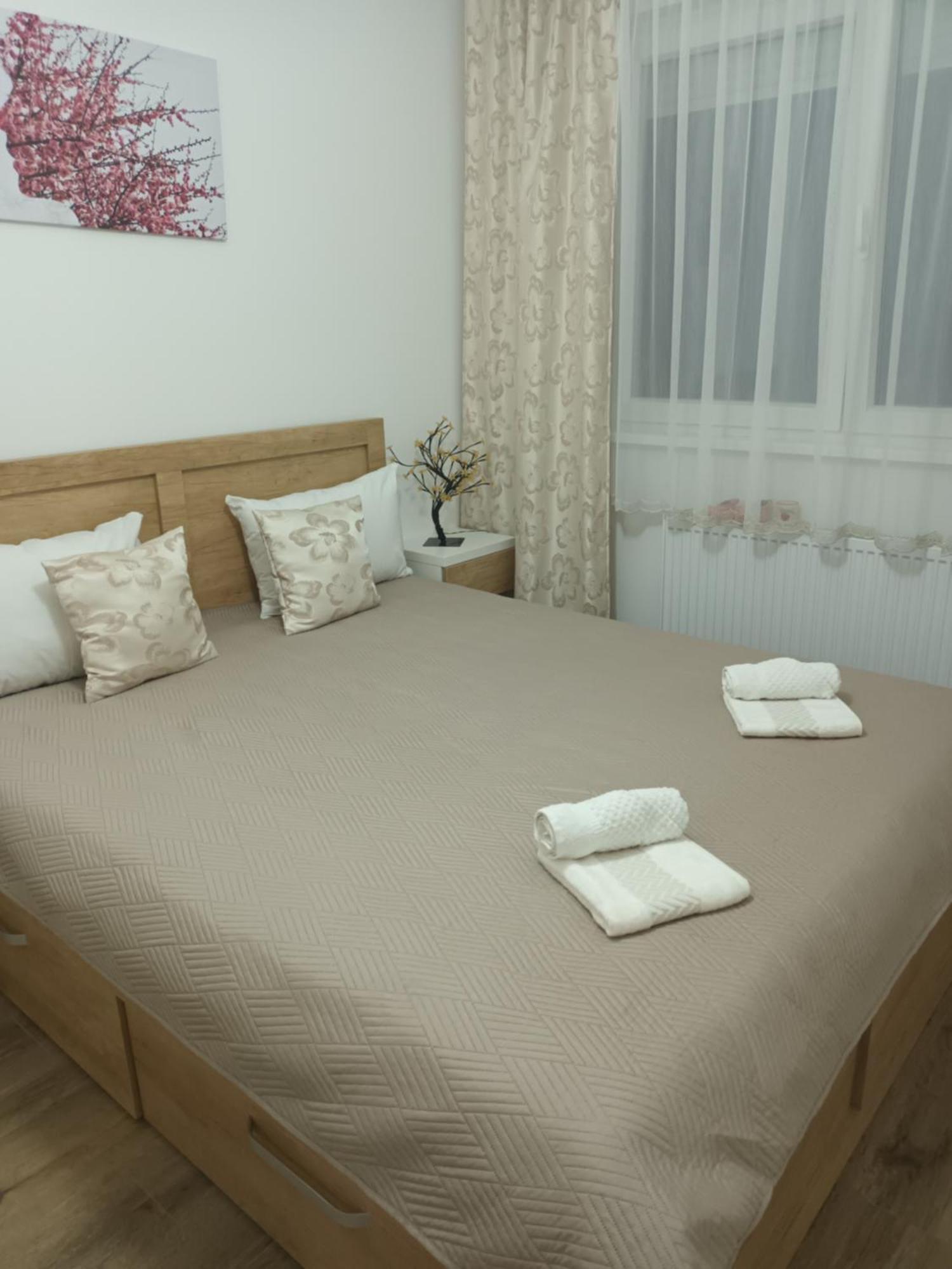 Katarina 3 Apartment Banja Koviljača Екстериор снимка